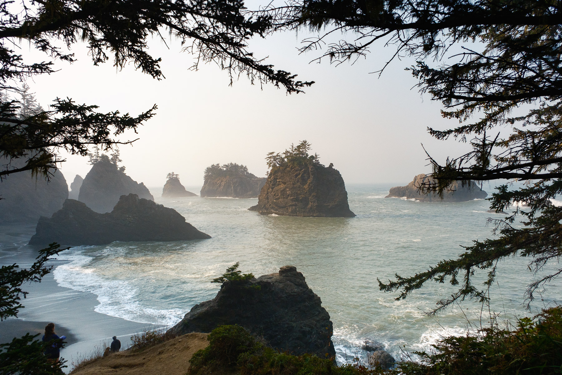 Pacific Northwest Road Trip photo titled Pacific Coast 30